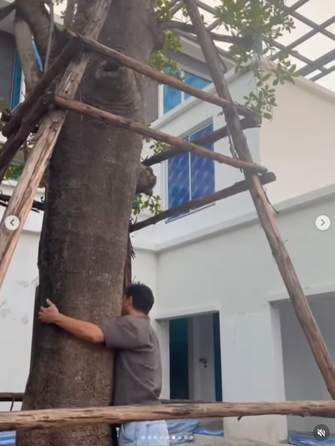 เต๋า สมชาย