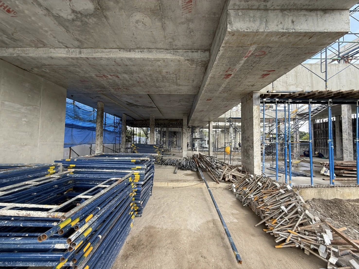 ปุ้มปุ้ย พรรณทิพา