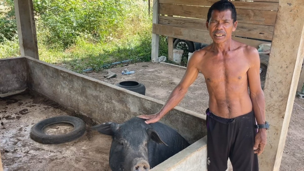 -สุรินทร์- ชีวิตคนชายแดน อาศัยท่อลอดถนน หลบกระสุนเขมร อพยพไปไหนไม่ได้ต้องอยู่ดูแลบ้านและสัตว์เลี้ยงตนเองและบ้านข้างเคียง อยากให้พื้นที่สงบโดยเร็ว จะได้ทำมาหากินกันได้ปกติ ไม่เชื่อฮุน เซน ไม่มีทางหยุดยิง ขณะที่หน้าแนวยังปะทะต่อเนื่อง