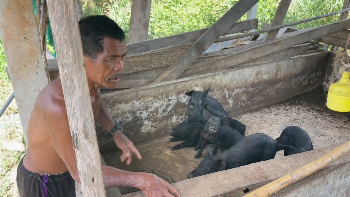 -สุรินทร์- ชีวิตคนชายแดน อาศัยท่อลอดถนน หลบกระสุนเขมร อพยพไปไหนไม่ได้ต้องอยู่ดูแลบ้านและสัตว์เลี้ยงตนเองและบ้านข้างเคียง อยากให้พื้นที่สงบโดยเร็ว จะได้ทำมาหากินกันได้ปกติ ไม่เชื่อฮุน เซน ไม่มีทางหยุดยิง ขณะที่หน้าแนวยังปะทะต่อเนื่อง