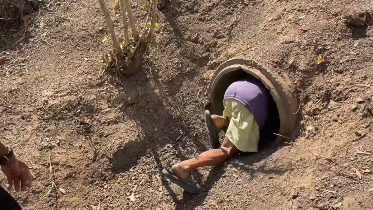 -สุรินทร์- ชีวิตคนชายแดน อาศัยท่อลอดถนน หลบกระสุนเขมร อพยพไปไหนไม่ได้ต้องอยู่ดูแลบ้านและสัตว์เลี้ยงตนเองและบ้านข้างเคียง อยากให้พื้นที่สงบโดยเร็ว จะได้ทำมาหากินกันได้ปกติ ไม่เชื่อฮุน เซน ไม่มีทางหยุดยิง ขณะที่หน้าแนวยังปะทะต่อเนื่อง