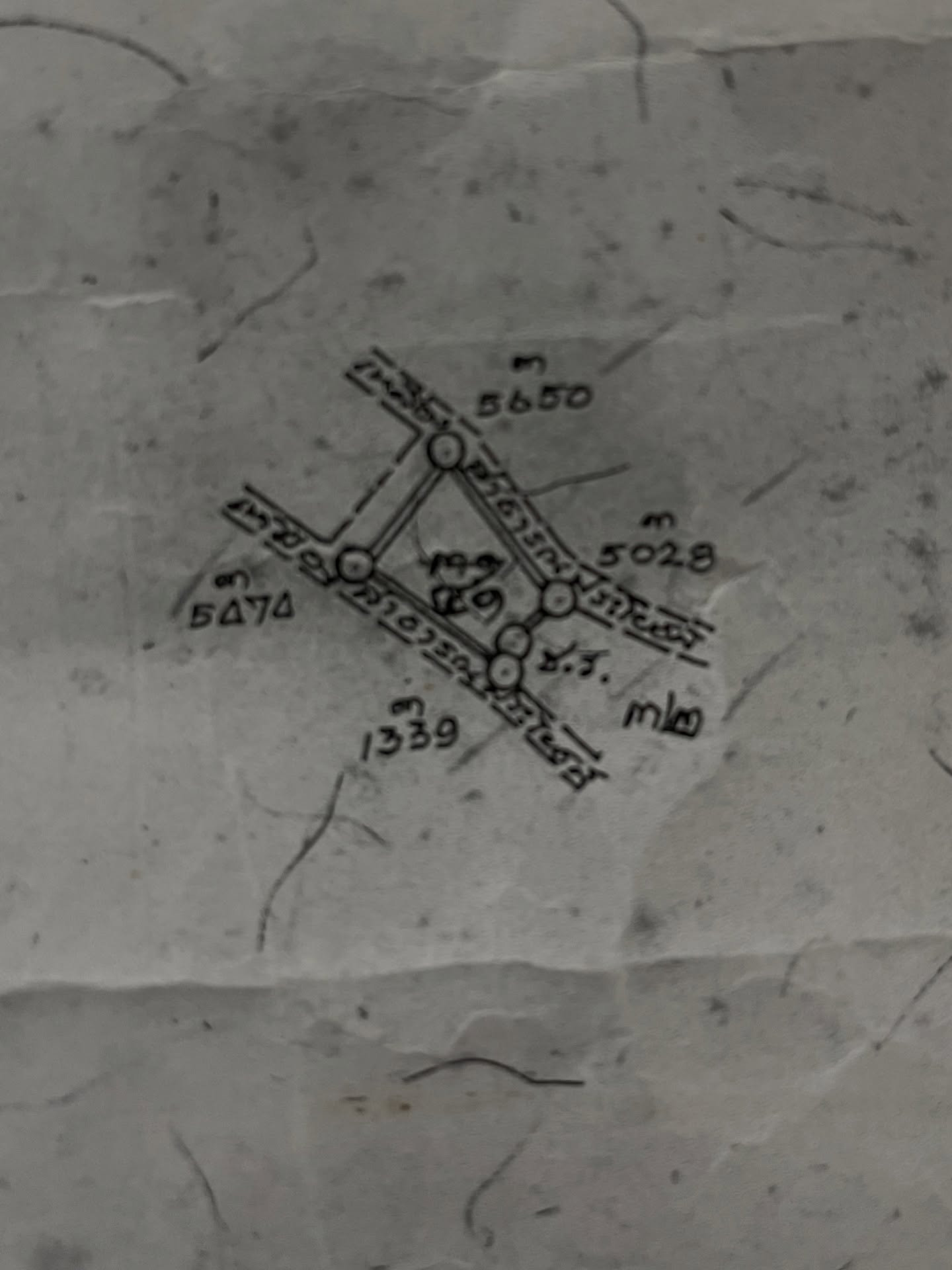 ซาร่า โฮเลอร์