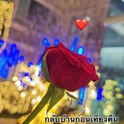 เมย์ เฟื่องอารมย์