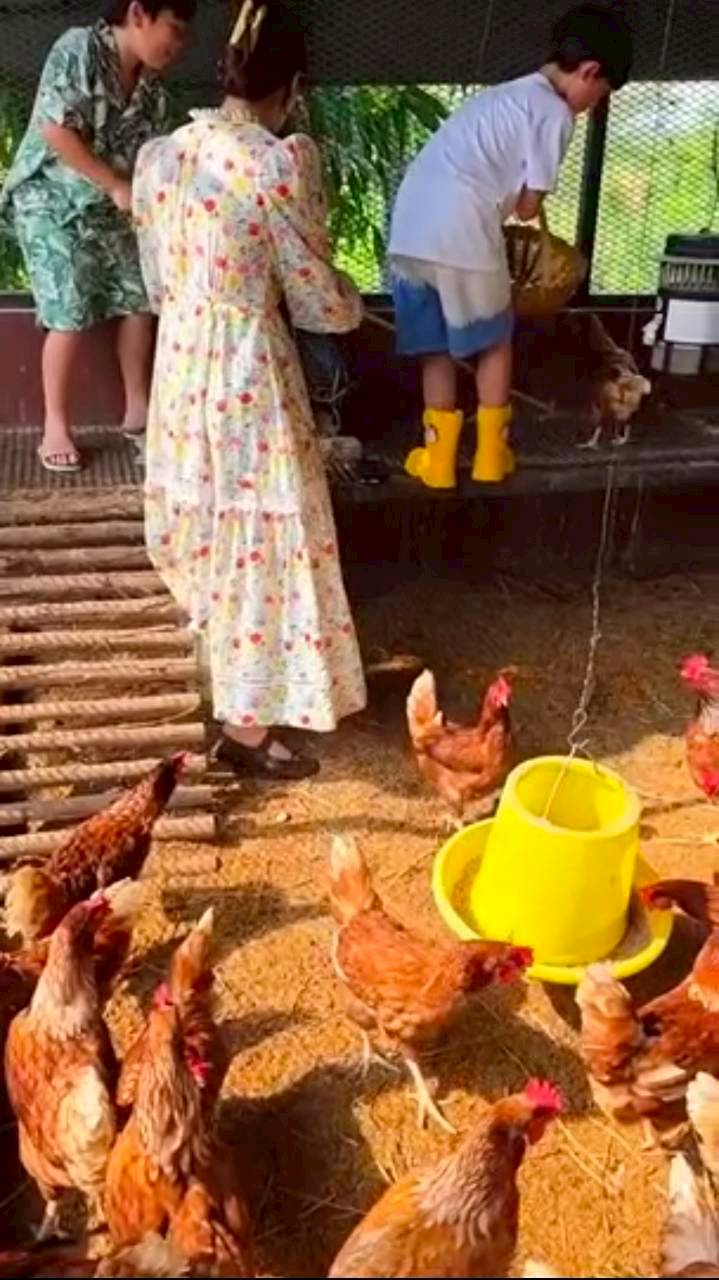 ชมพู่ อารยา