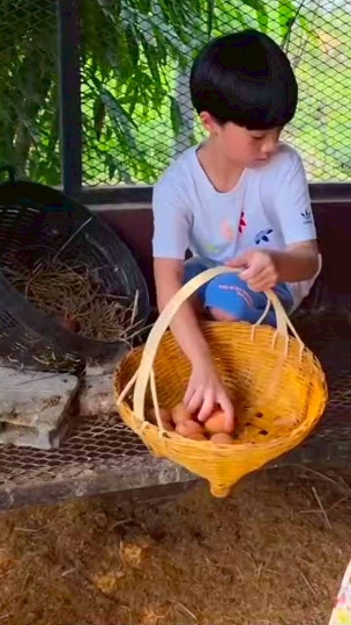 ชมพู่ อารยา