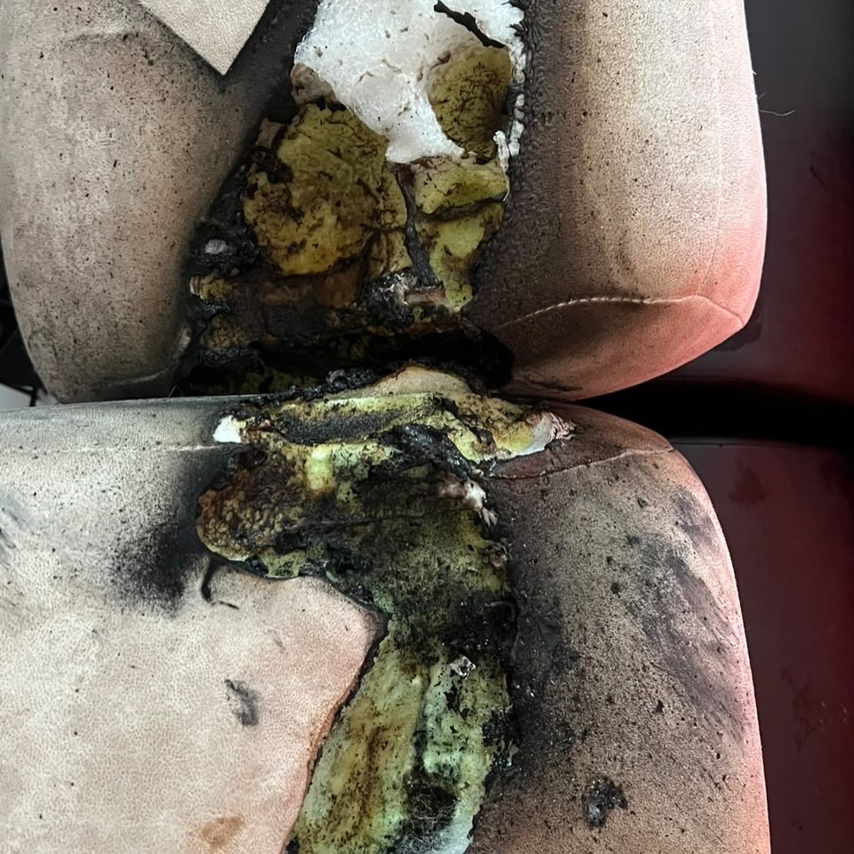 นก จริยา