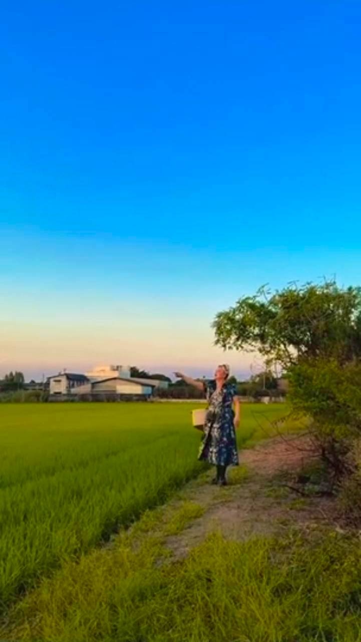 เอ ศุภชัย