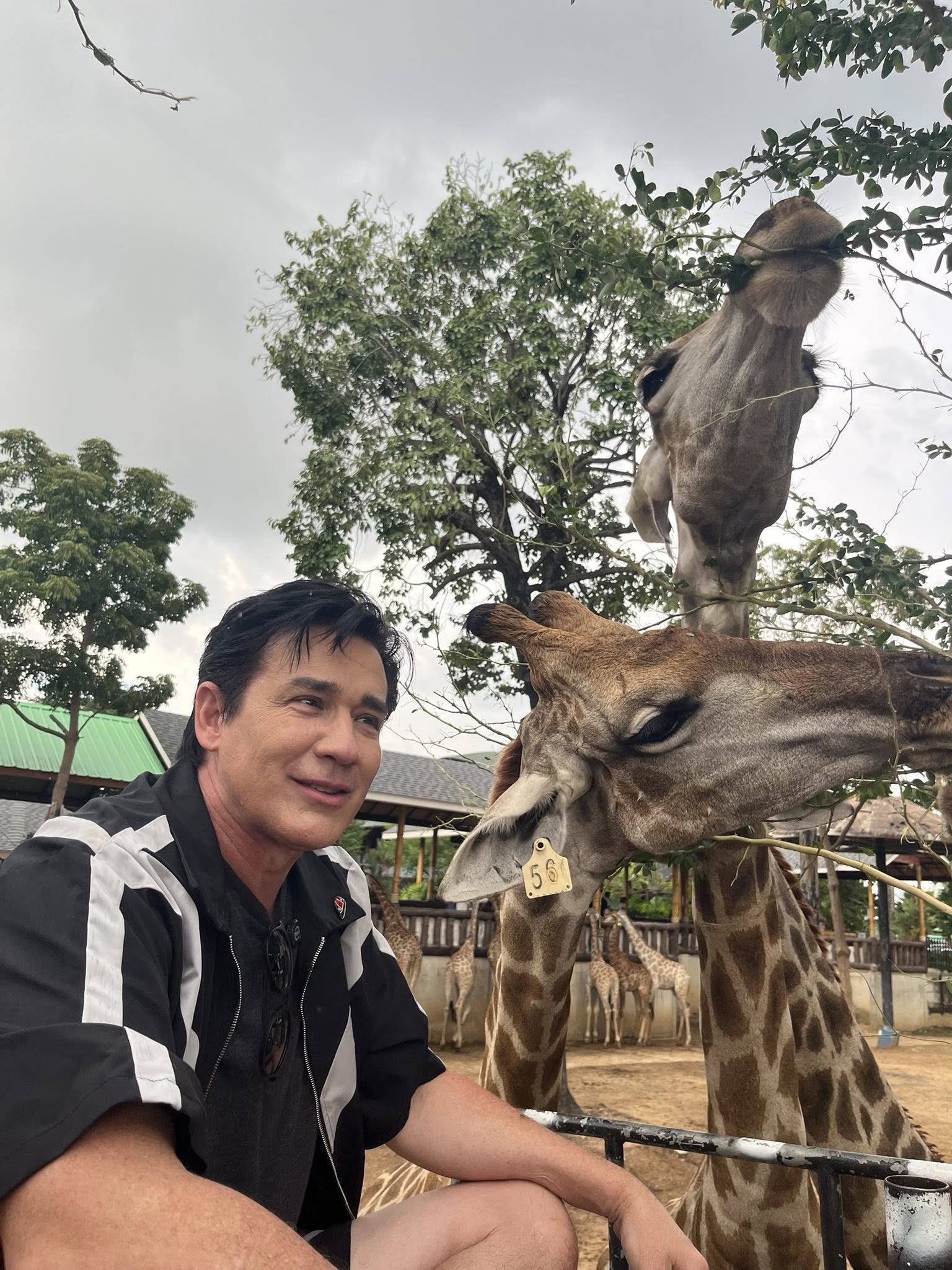 วิลลี่ แมคอินทอช