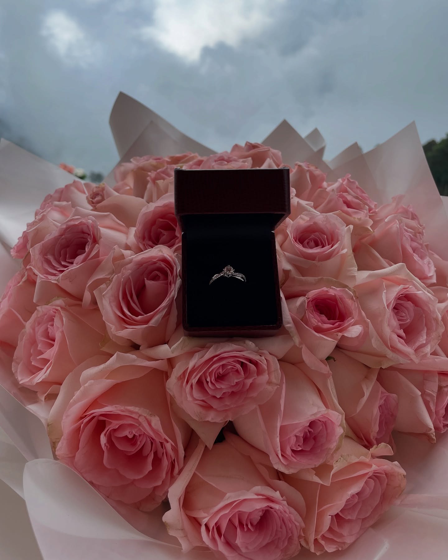 อ๋อม ดาเรีย