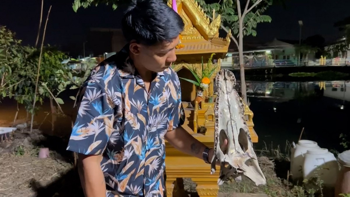 ให้โชค  พ่อปู่สม-สรวง ศีรษะจระเข้ โบราณ อายุกว่า 133 ปี