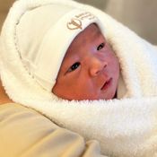 อเล็กซ์ เรนเดล