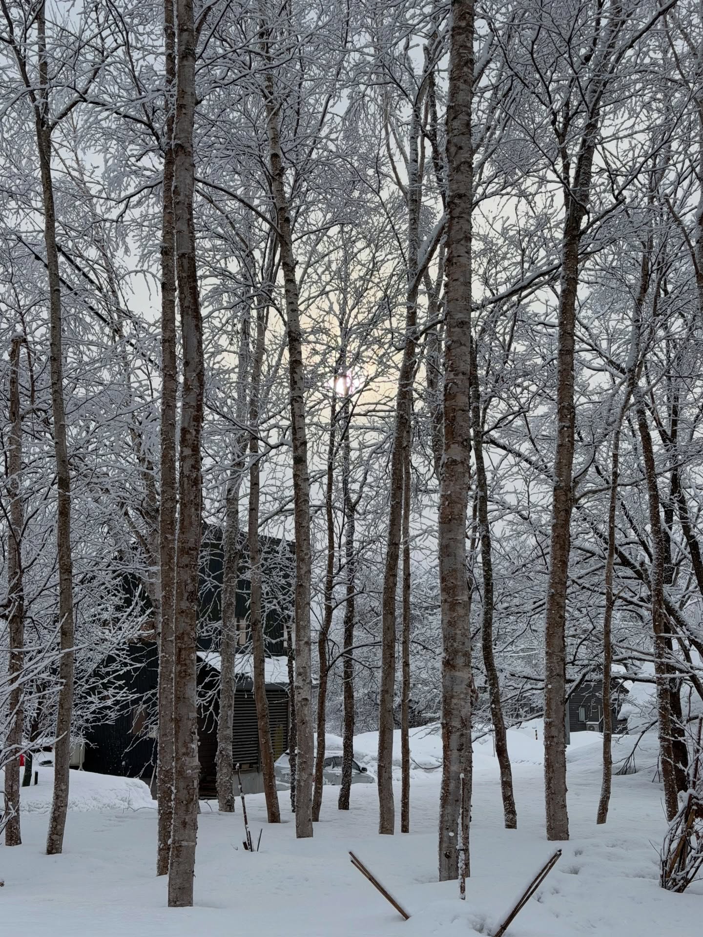 หน่อย เคน