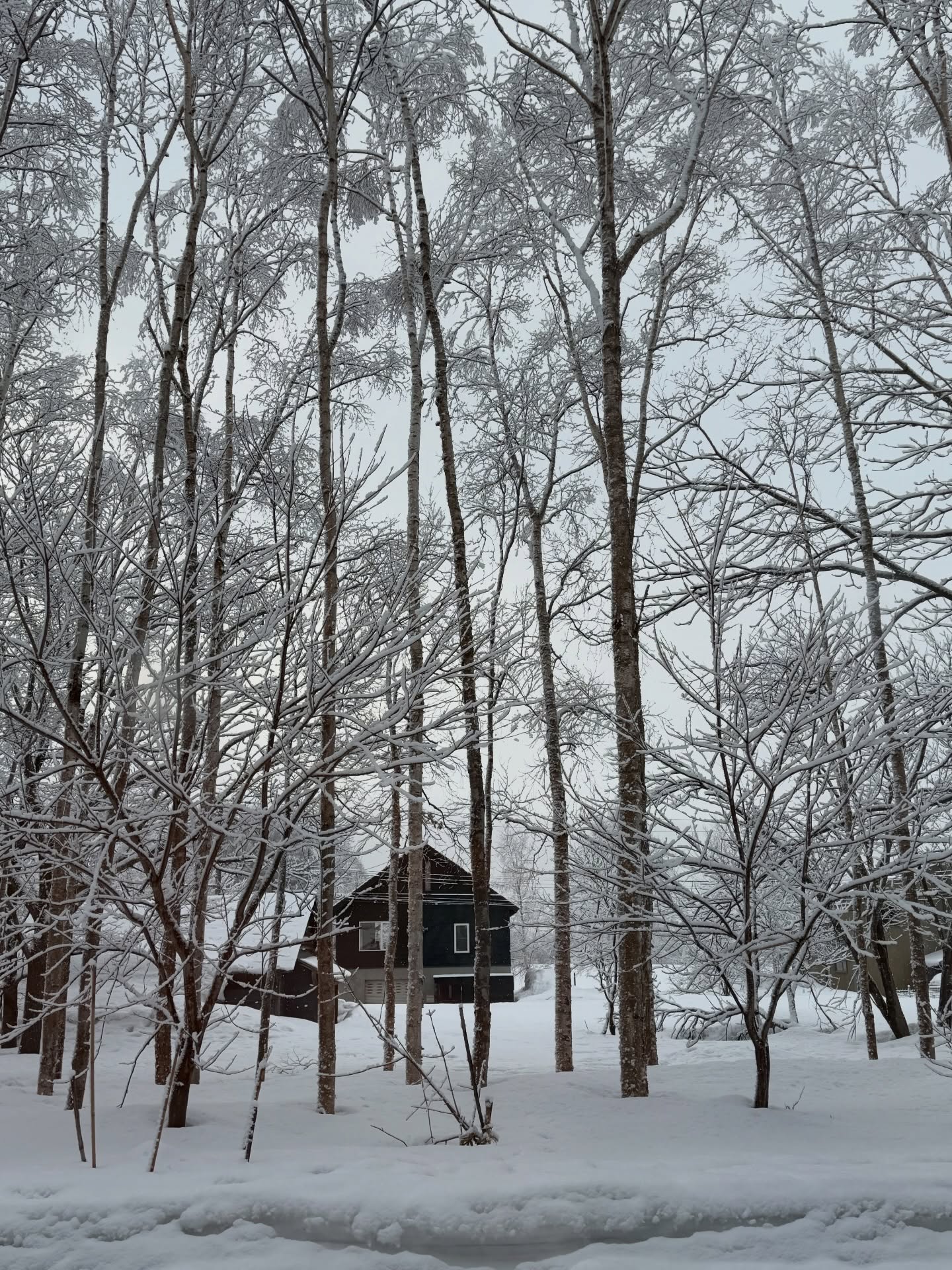 หน่อย เคน