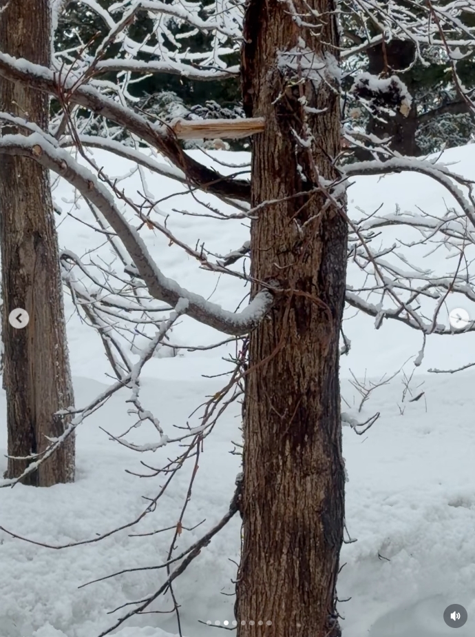 หน่อย เคน