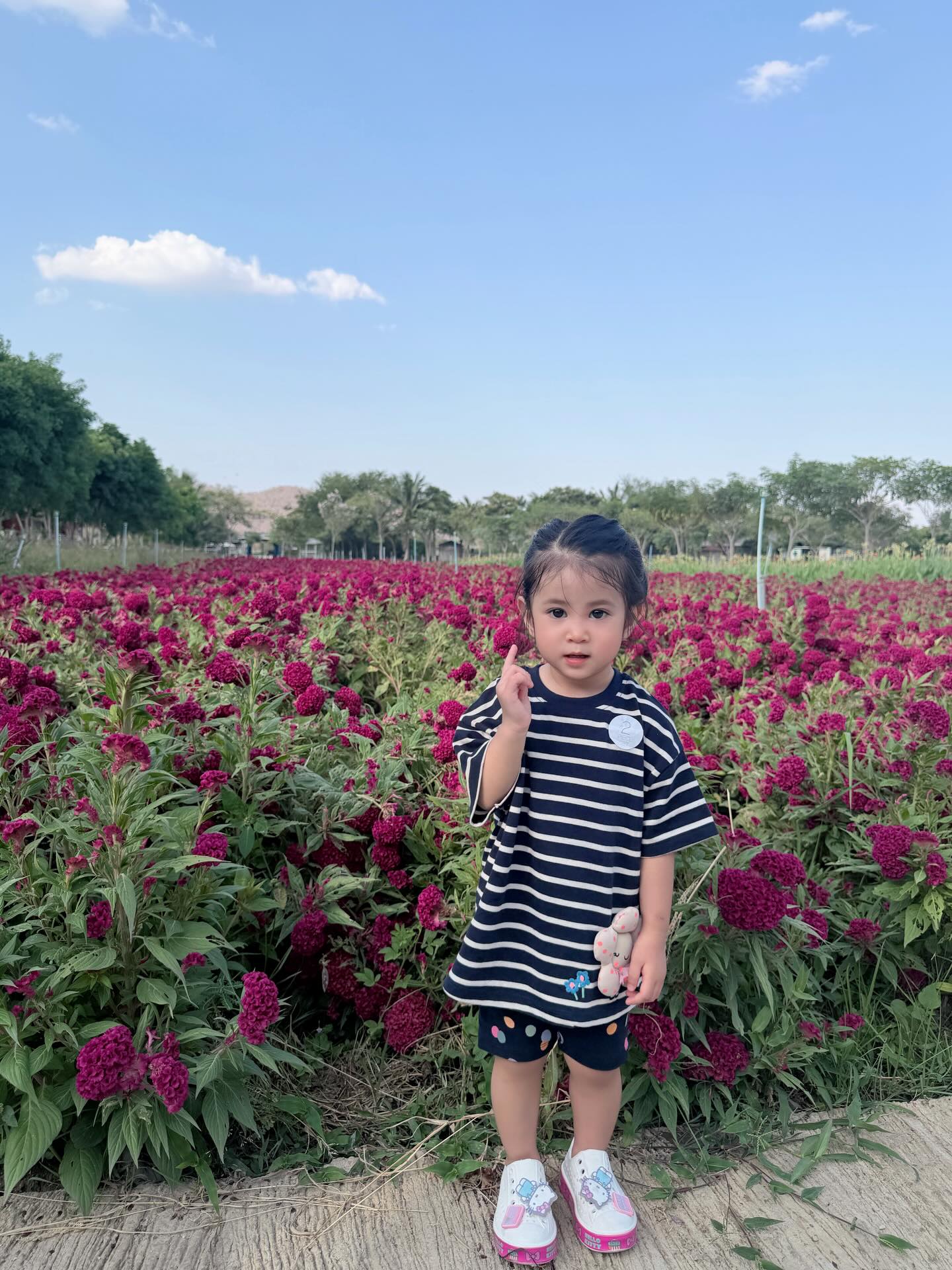 น้องพราวตะวัน