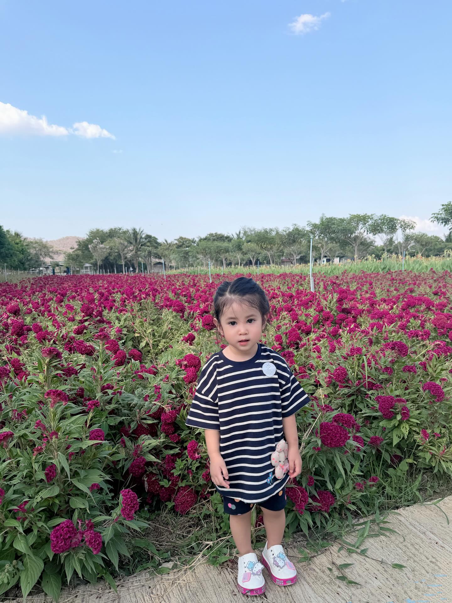 น้องพราวตะวัน