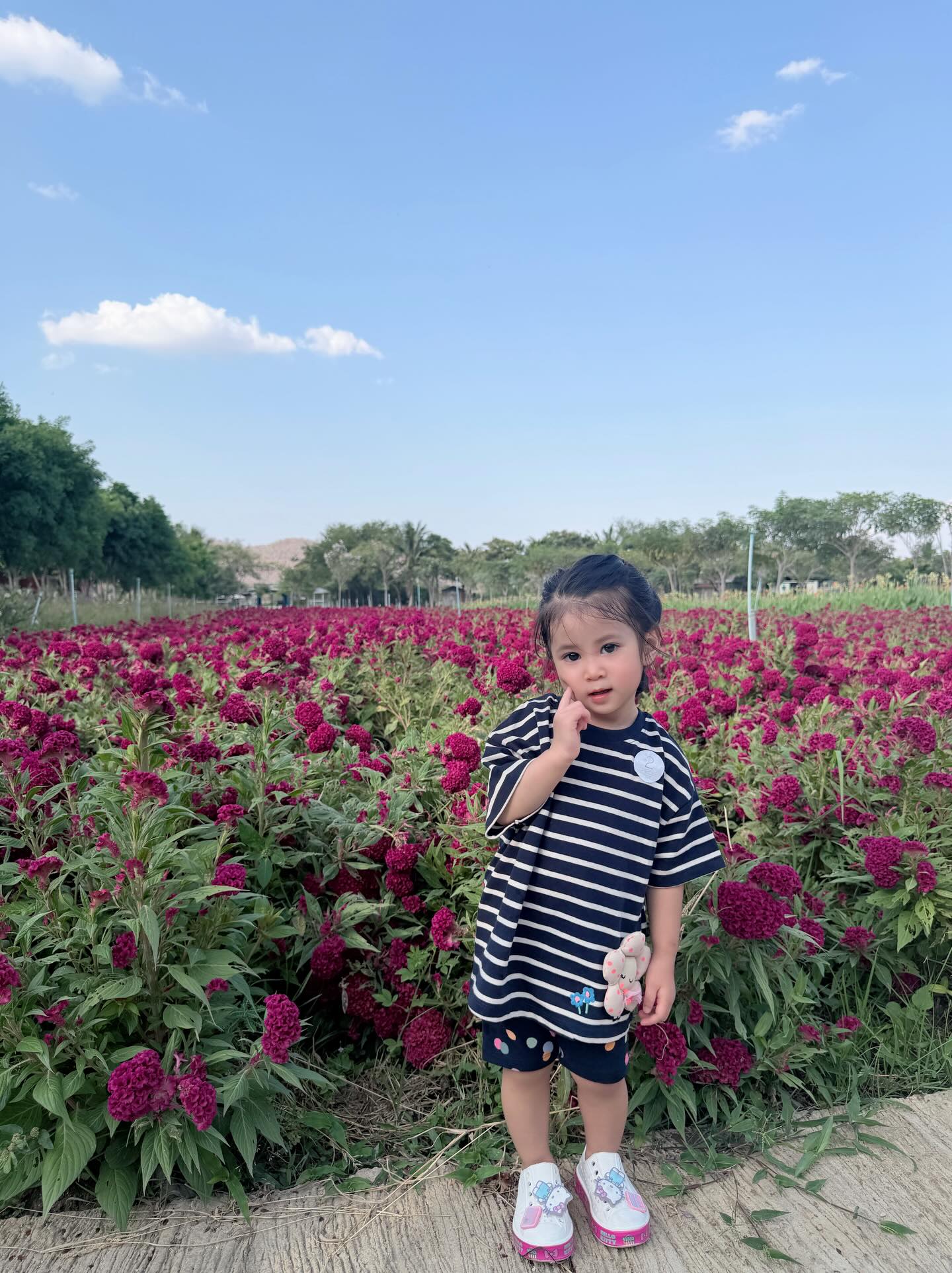 น้องพราวตะวัน