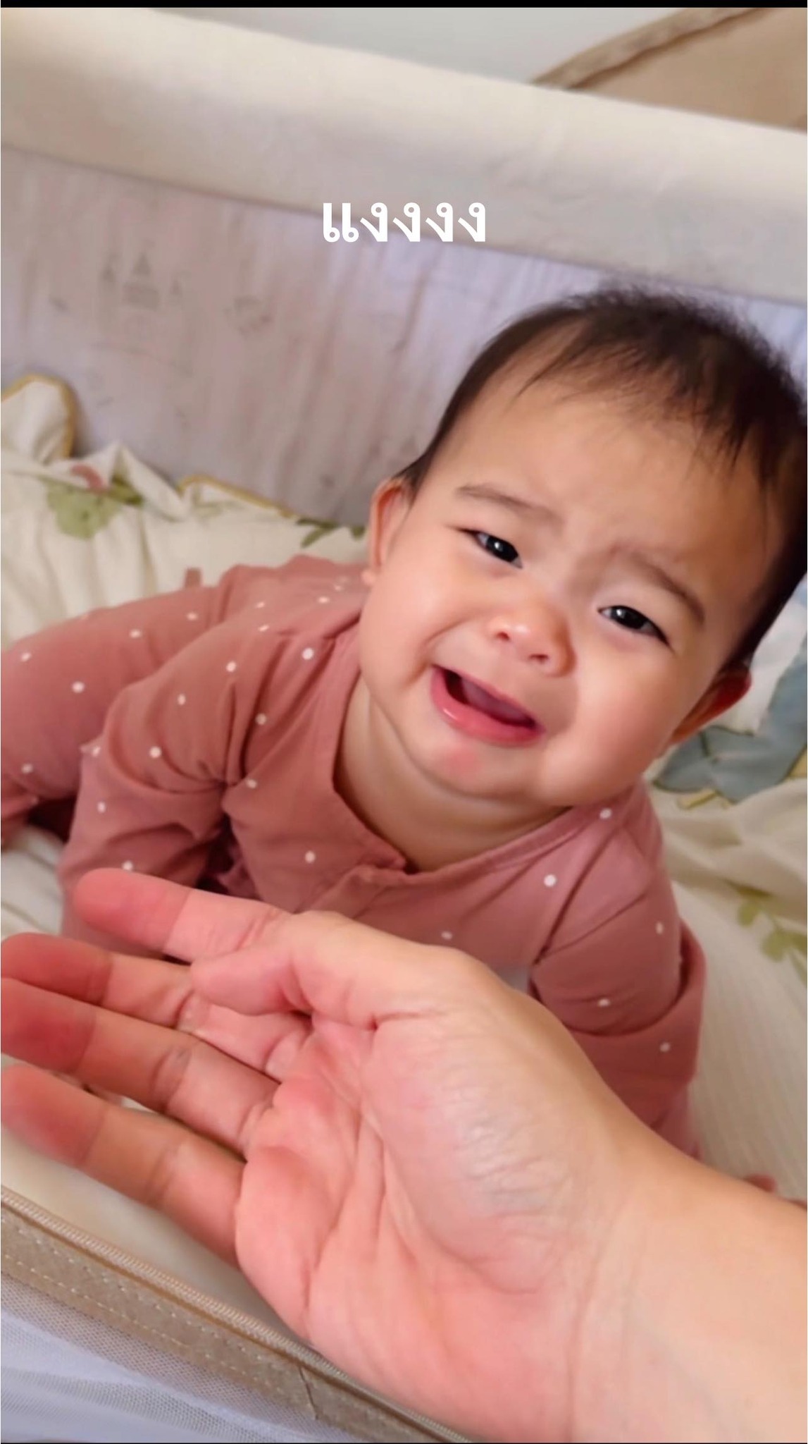 น้องซัมเมอร์