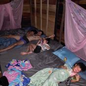 กาย ฮารุ