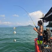 กาย ฮารุ