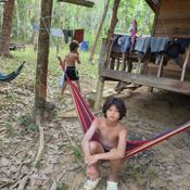 กาย ฮารุ