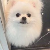 น้องมายู