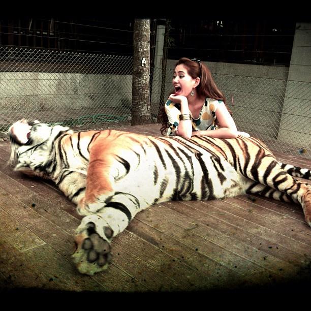 ราฟฟี่ แนนซี่