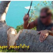 ฝรั่งตัดต้นไม้เกาะพะงัน