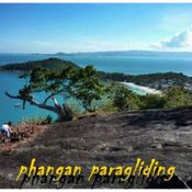 ฝรั่งตัดต้นไม้เกาะพะงัน