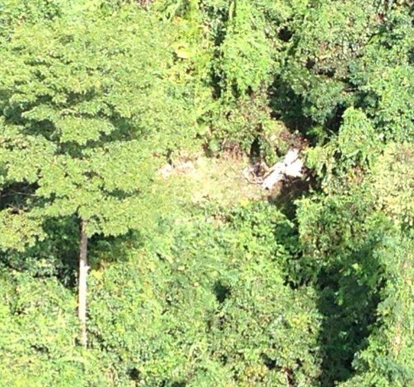 เครื่องบินตก เขาใหญ่