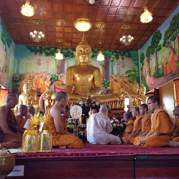 งานบวชโตโน่ 