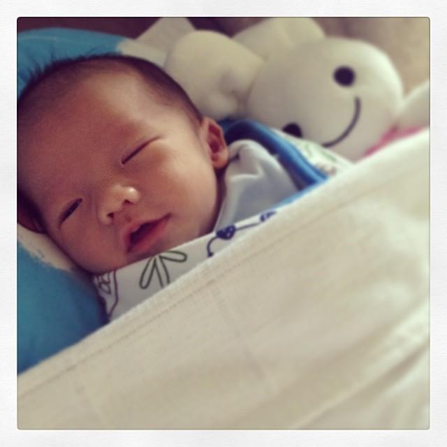 ลูกปุ๊กกี้ ปริศนา