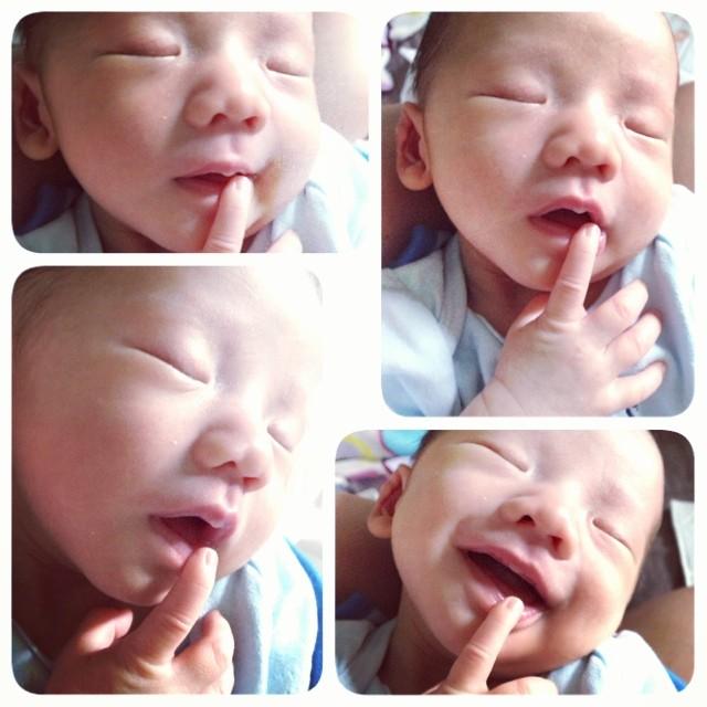 ลูกปุ๊กกี้ ปริศนา