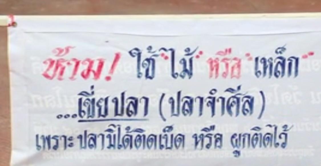 ปลาจำศีล