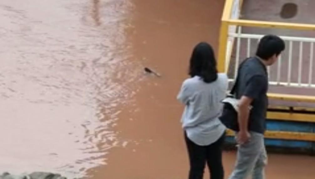 ปลาจำศีล