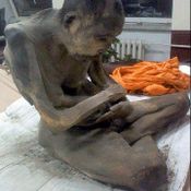 พระมองโกเลีย มัมมี่