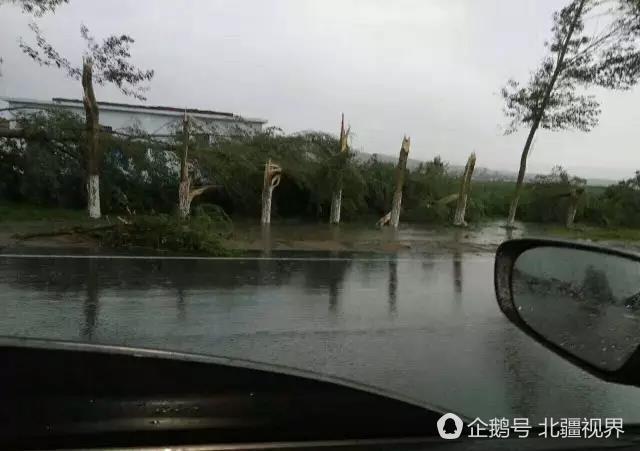 พายุทอร์นาโดจีน