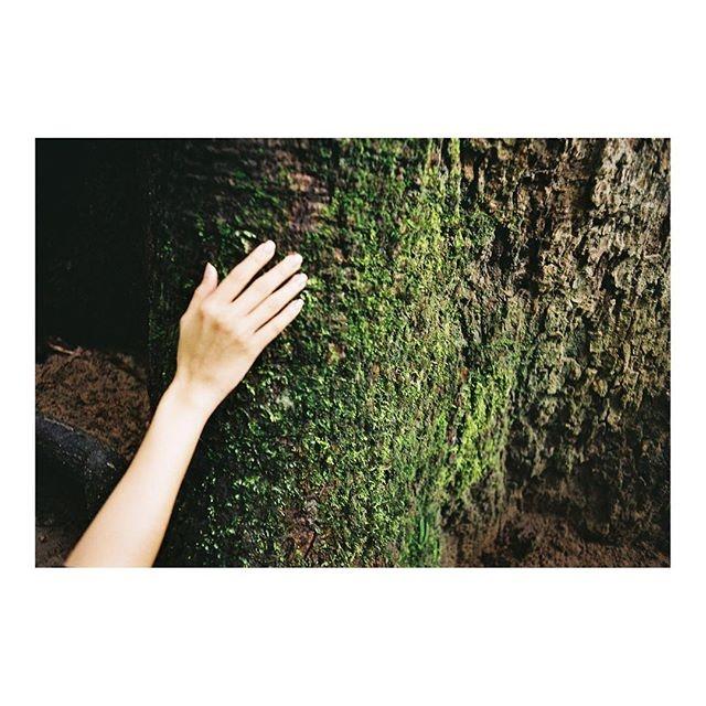 เบลล่า ราณี