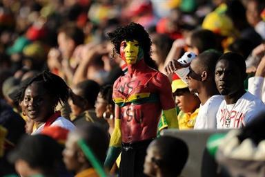 World Cup 2010_Fan_14