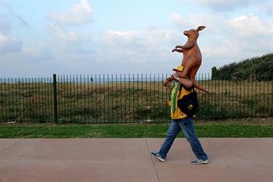 World Cup 2010_Fan_6