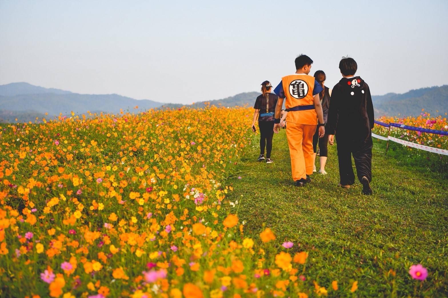 สิงห์ ซีรีส์รัน 