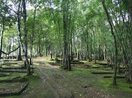 ท่องเที่ยว , อุทยานแห่งชาติทองผาภูมิ ,หมอกหนา ลมหนาว กลางฝน