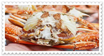 คลิกชมภาพ