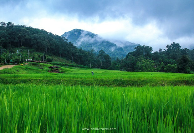 ที่เที่ยวหน้าฝนสถานที่ต่อมา อุทยานแห่งชาติดอยอินทนนท์