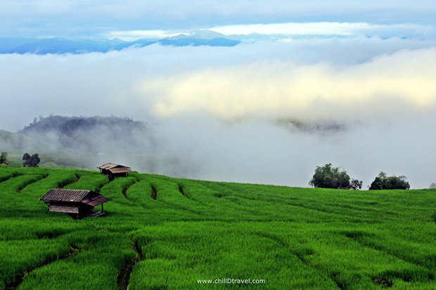 ที่เที่ยวหน้าฝนสถานที่แรก บ้านป่าบงเปียง