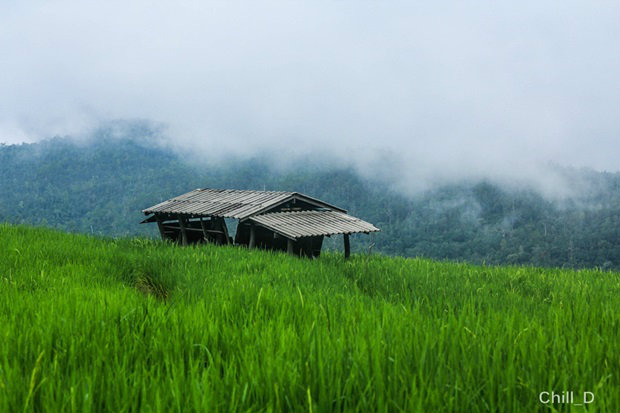 ที่เที่ยวหน้าฝนสถานที่แรก บ้านป่าบงเปียง