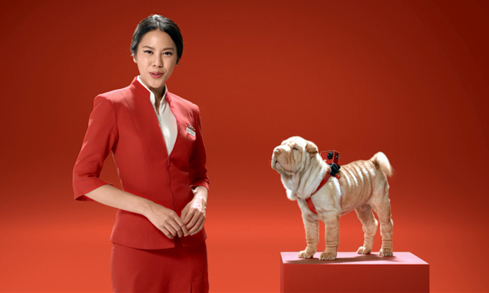 แอร์เอเชียพาเที่ยวจีนกับไกด์เจ้าถิ่น หมาหนุ่มหล่อหญิงหลง พาไปเจาะลึกซีอาน รับรองคุณจะต้อง ว้าวว