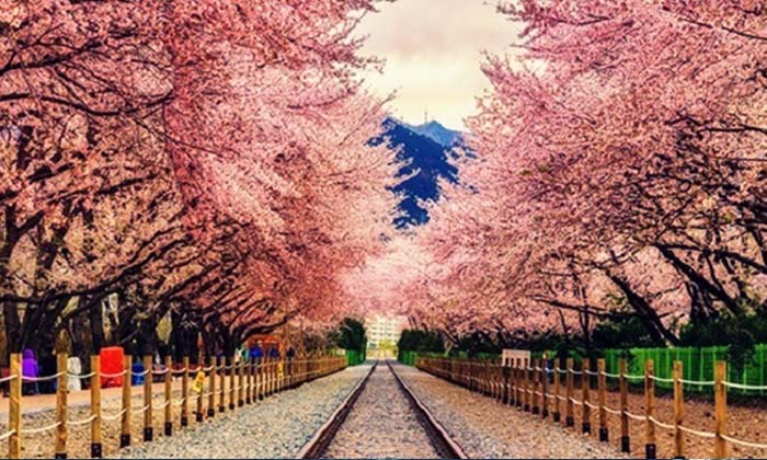 หนาวนี้มีเฮ 7 ประเทศใกล้ไทยไม่ต้องใช้วีซ่า