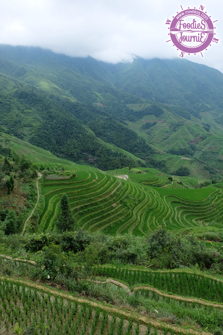 นาขั้นบันไดหลงจี๋ (Longji Rice Terraces)