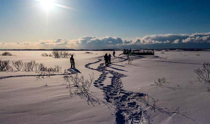 เดินฝ่าป่าหิมะแห่ง Hokkaido  เพื่อไปเจอทะเลหิมะสุดมหัศจรรย์